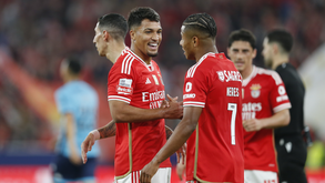 Neres e Marcos Leonardo cúmplices: «Sabes muito irmão, fenómeno»