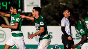 A crónica do Sporting-Farense, 4-1: Nem vermelho trava apetite leonino
