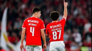 Jogadores de luto: Benfica deixa mensagem a João Neves e António Silva