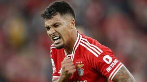 Darwin continua de olho no Benfica: avançado do Liverpool deixa elogio a Marcos Leonardo