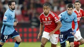 Schmidt aposta em Neres ou regressa à base? «Ele não pode dizer que tem uma boa dor de cabeça e voltar à estaca zero»