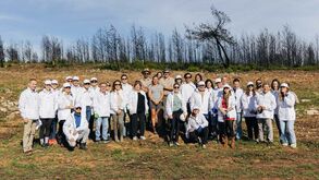 COP e ANOC plantam 450 árvores em Cascais para redução de pegada carbónica