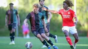 A crónica do Benfica-E. Amadora, 2-2: Mais um tropeço da águia