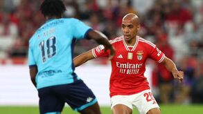 João Mário mostra que pode ser alternativa no meio-campo: bate médias de Neves, Kökçü e Florentino frente ao Vizela