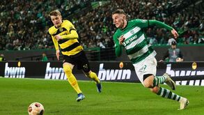 Sporting em busca do sonho europeu: Leão tenta igualar recorde na Liga Europa