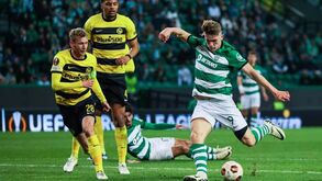 As notas dos jogadores do Sporting frente ao Young Boys: bateria nórdica vai do oito ao oitenta