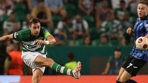 A tua cara não me é estranha: Sporting espera fazer da Atalanta o 'novo Newcastle'