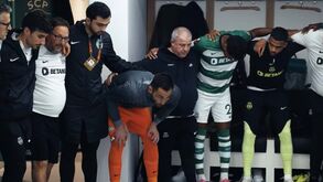 Da euforia dos adeptos ao grito de Adán: Sporting mostra bastidores do jogo com o Young Boys