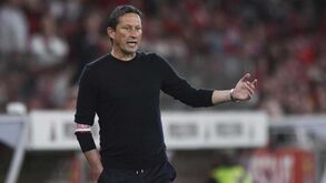 Alterações à vista na frente de ataque: o onze provável do Benfica para o jogo com o Portimonense