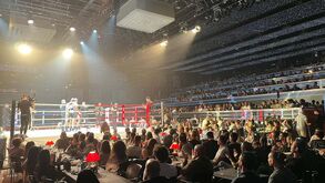 Grandes noites de desportos de combate regressam ao Casino Estoril: siga a transmissão em direto no nosso site