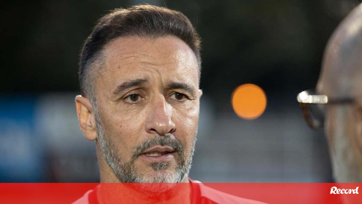 Vítor Pereira: «Gyökeres é um ponta-de-lança de eleição»