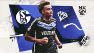 24. Assan Ouedraogo (Schalke)