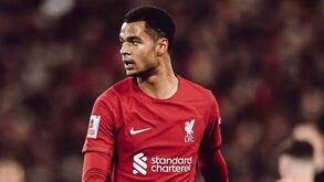 Cody Gakpo: «É incrível o que Jürgen Klopp fez durante estes anos pelo Liverpool»