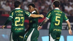 Abel empata e Caixinha vence no Paulistão