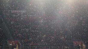 Benfica multado em 7 mil euros por esfaqueamento de adepto na Luz