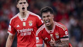 Marcos Leonardo ganha crédito 
