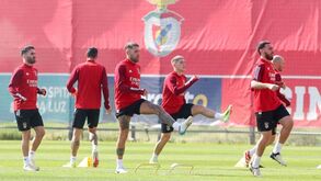 Benfica prepara jogo com o Rangers: conheça o programa
