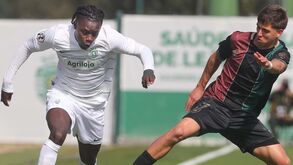 A crónica do Sporting-E. Amadora, 0-0: um leão sem estrela