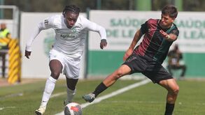 Sporting-E. Amadora, 0-0: um leão sem estrela