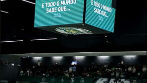 Ir ao João Rocha ver hóquei em patins e acabar a assistir... ao Atalanta-Sporting: leões desafiam adeptos