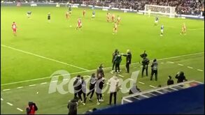 Banco do Benfica festeja eufórico apuramento para os 'quartos' da Liga Europa