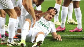 Rúben Amorim: «Pote vai estar fora durante alguns jogos. Isso custa-lhe muito»