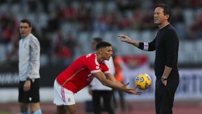 Marco histórico: Roger Schmit festeja no 100.º encontro no comando técnico do Benfica