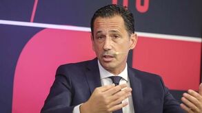 Pedro Proença: «A dignificação do treinador português é absolutamente fundamental»