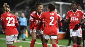 Benfica cresce e já está no top-15 das equipas que mais receitas geram