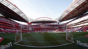 Esperados mais de 20 mil nas bancadas da Luz no Benfica-Lyon