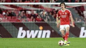 Negócio de 6 milhões: Benfica planeia acionar cláusula de compra de Álvaro Carreras