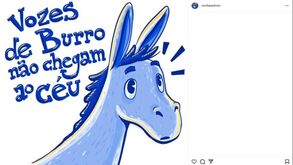Cecília Pedroto reage às palavras de Pinto da Costa: «Vozes de burro não chegam ao céu»