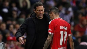 Roger Schmidt e as ameaças à família de Di María: «O que aconteceu mostra o quão maluco está o mundo»