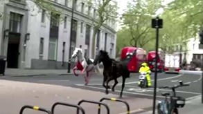 Cavalos à solta semeiam pânico nas ruas de Londres: cinco pessoas ficaram feridas