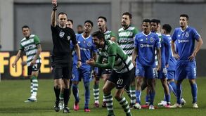 João Pinheiro volta a arbitrar os leões: «É um insulto e um desrespeito ao Sporting»