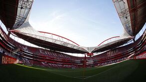 Benfica quer emitir 35 milhões em dívida para o retalho e oferece juro de 5,1%