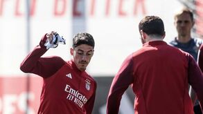 Schmidt chamou a equipa B: treino pós-dérbi teve direito a jogo