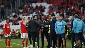 «Está mas é calado, vai para o banco»: Benfica multado por desavença entre diretor de comunicação e adjunto do Chaves