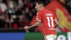 César Brito aprova continuidade de Di María no Benfica: «Ainda marca ali a diferença»