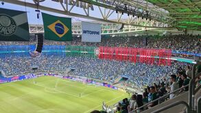 Abel discute título paulista e Allianz Parque 'ganha' cores da bandeira portuguesa