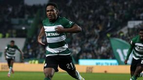 Geny Catamo: o herói improvável do leão