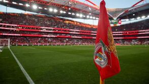 Investir em dívida do Benfica custa no mínimo 155 euros