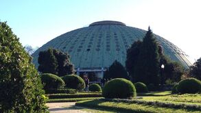Pavilhão Rosa Mota recebe final four da Liga dos Campeões