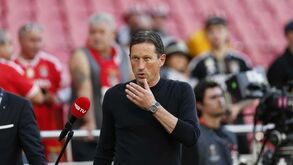 Roger Schmidt: «Queremos viver uma grande noite»