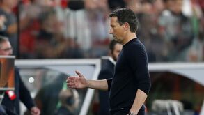 Roger Schmidt não faz antevisão da receção do Benfica ao Moreirense