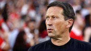 Jornalista holandês deixou alerta quando Schmidt chegou ao Benfica: «No PSV começou a ser criticado devido às substituições e onzes»