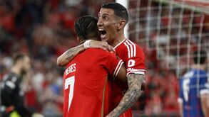Benfica em busca da centena de golos esta época