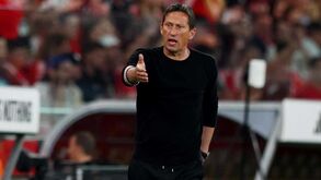 O onze provável do Benfica para o jogo com o Marselha