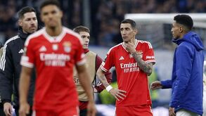 Benfica agradece aos adeptos mas tiro sai pela culatra: «A piada está feita...»