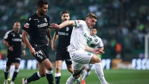 As notas dos jogadores do V. Guimarães frente ao Sporting: Borevkovic salvou o que foi possível